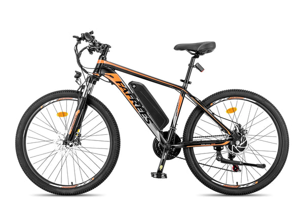 Fafrees 26 Hailong One Mountain Electric Bike 250W