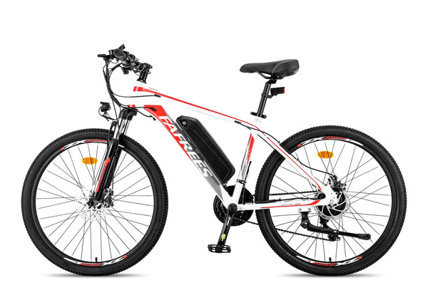 Fafrees 26 Hailong One Mountain Electric Bike 250W