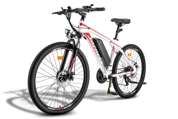 Fafrees 26 Hailong One Mountain Electric Bike 250W