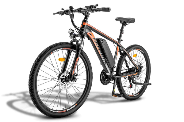 Fafrees 26 Hailong One Mountain Electric Bike 250W