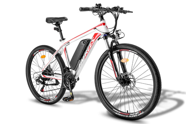 Fafrees 26 Hailong One Mountain Electric Bike 250W
