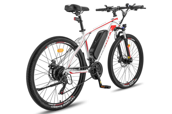 Fafrees 26 Hailong One Mountain Electric Bike 250W