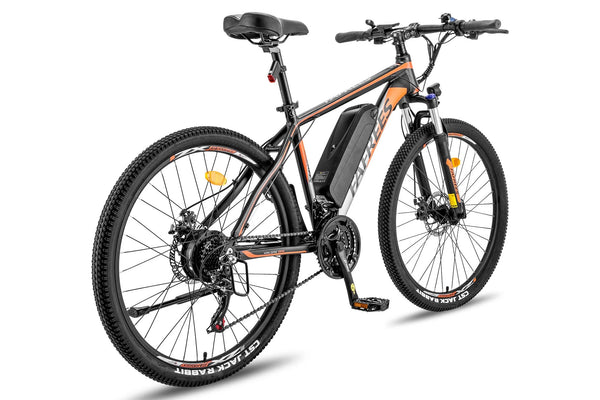 Fafrees 26 Hailong One Mountain Electric Bike 250W