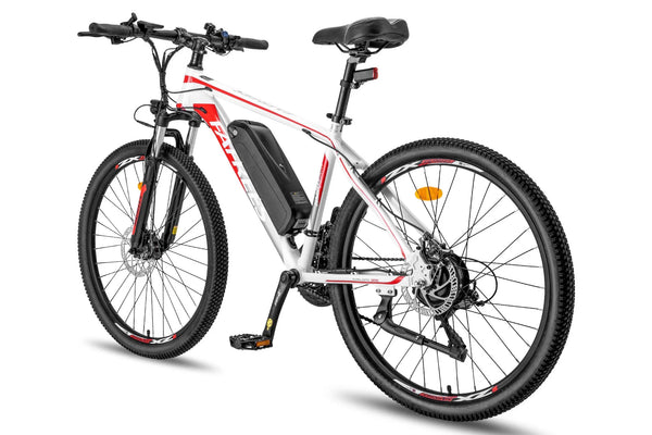 Fafrees 26 Hailong One Mountain Electric Bike 250W