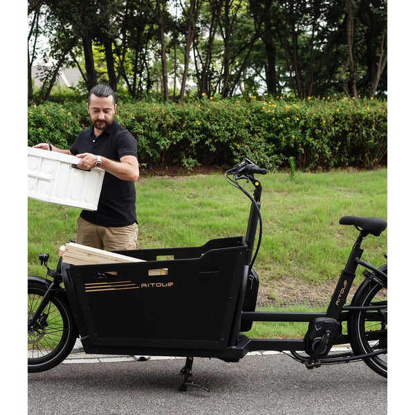 Aitour Basalt Electric Cargo Bike 250W - My Store