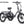 Fafrees F20 Mate Fat Tyre Electric Trike 500W
