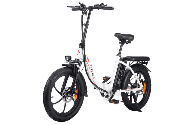 Fafrees F20 Fat Tyre Electric Bike 250W