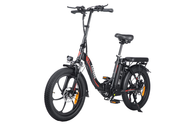 Fafrees F20 Fat Tyre Electric Bike 250W