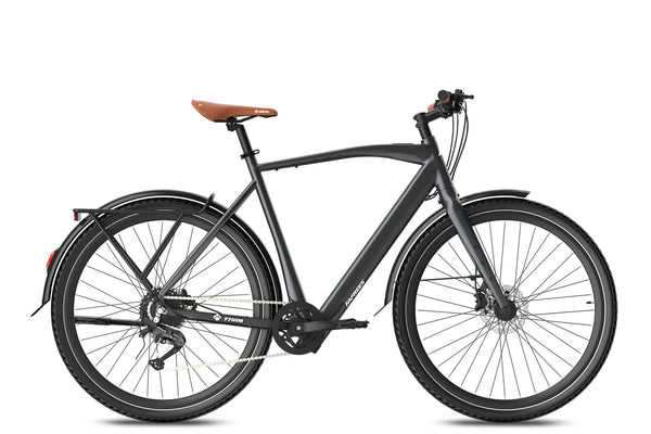 Fafrees F700M Torque Sensor City Electric Bike 250W