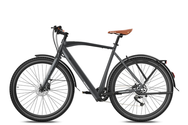 Fafrees F700M Torque Sensor City Electric Bike 250W