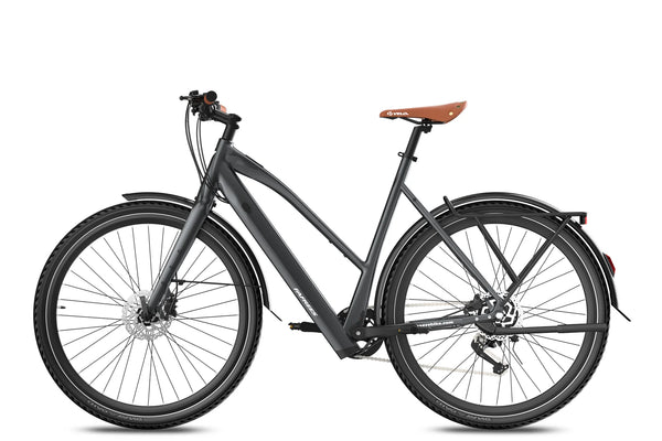 Fafrees F700W Torque Sensor City Electric Bike 250W