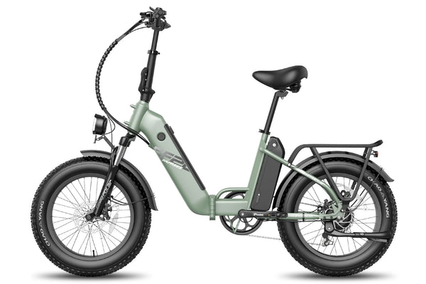 Fafrees FF20 Polar Dual Batteries Electric Bike 500W