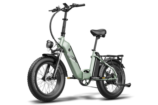 Fafrees FF20 Polar Dual Batteries Electric Bike 500W