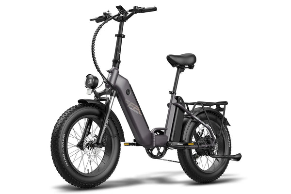 Fafrees FF20 Polar Dual Batteries Electric Bike 500W