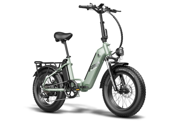 Fafrees FF20 Polar Dual Batteries Electric Bike 500W