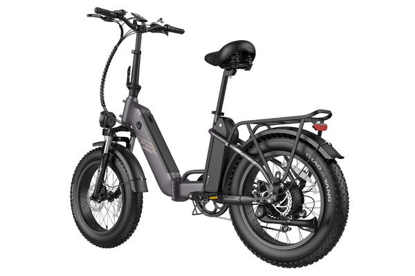 Fafrees FF20 Polar Dual Batteries Electric Bike 500W