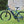 Eleglide M1 Electric Mountain Bike 250W - My Store