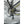 Mark2 X-Cross 450 Step Through Hybrid Electric Bike 250W - My Store